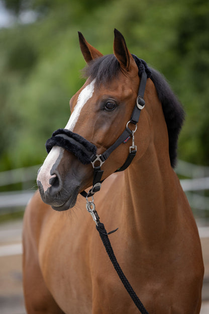 Oprsnica ClassicSoft black, velikost pony