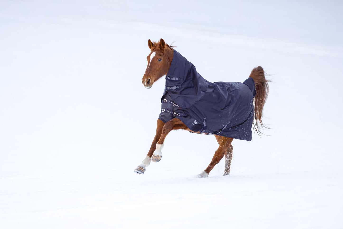 Zun. odeja za konje RugBe Zero 165 cm, dark navy