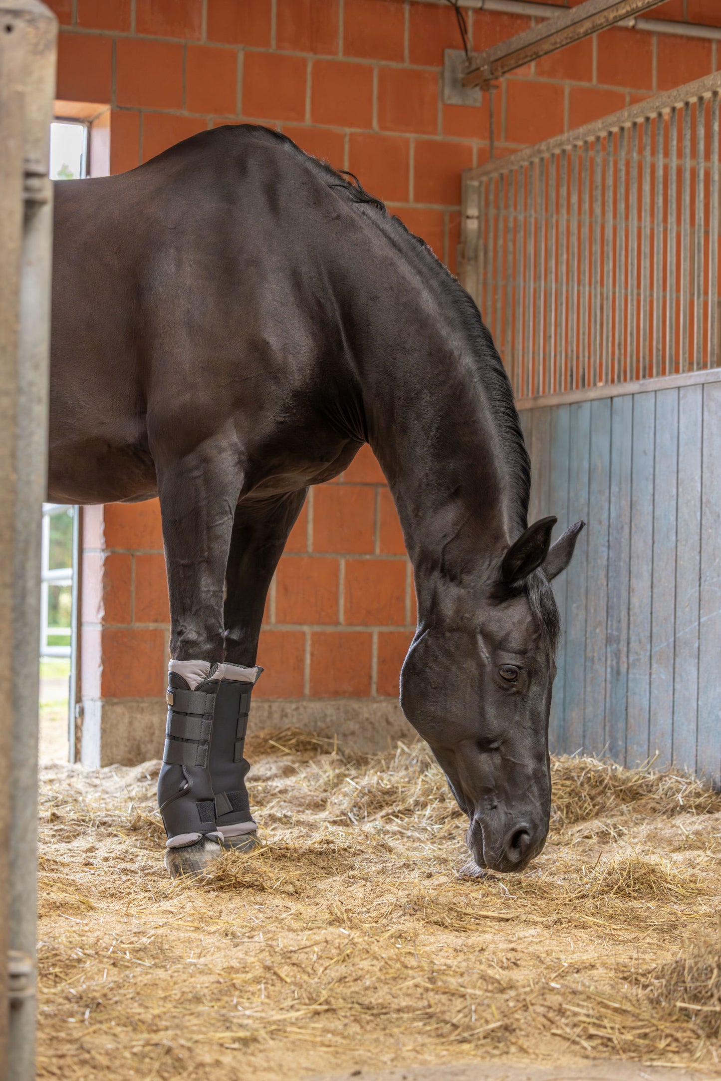Hlevske gamaše CovallieroTherm Pony, par, crne