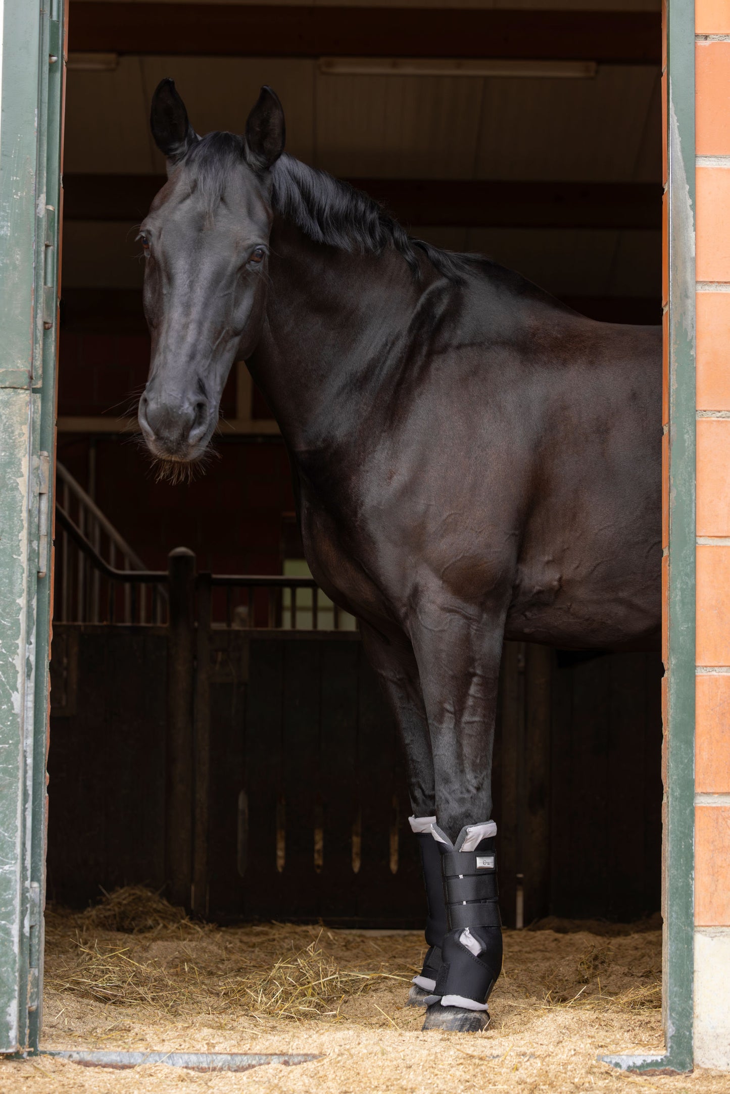 Hlevske gamaše CovallieroTherm Pony, par, crne