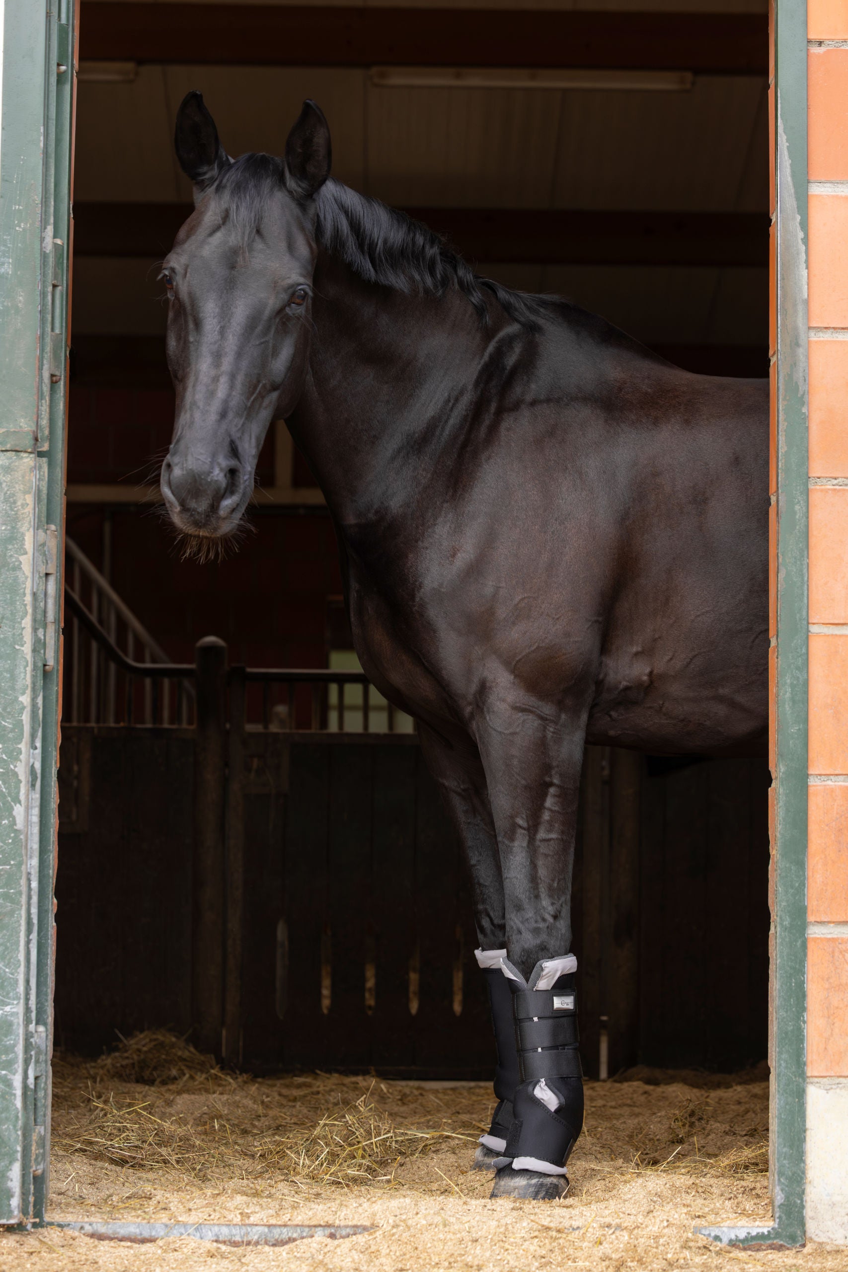 Hlevske gamaše CovallieroTherm Pony, par, crne