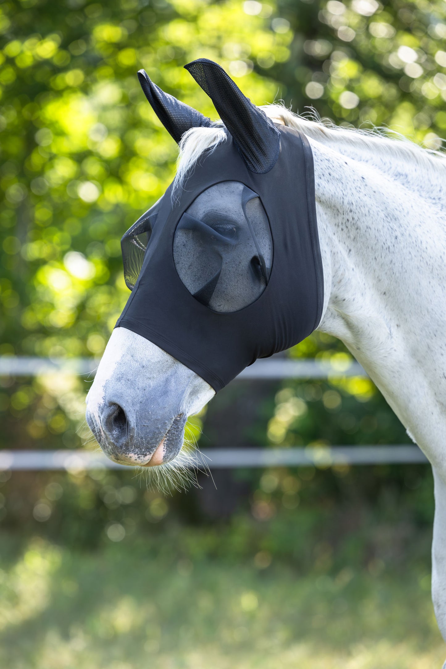 Maska za zaščito pred muhami F  črna, Pony