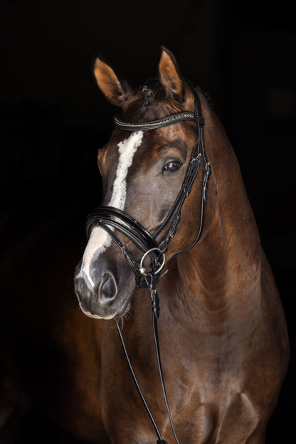 Uzda švedska, črne barve, Full