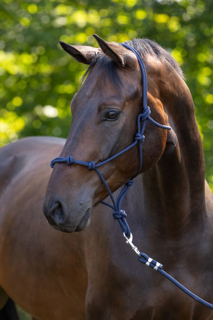 Oglavnik, temno moder, Pony