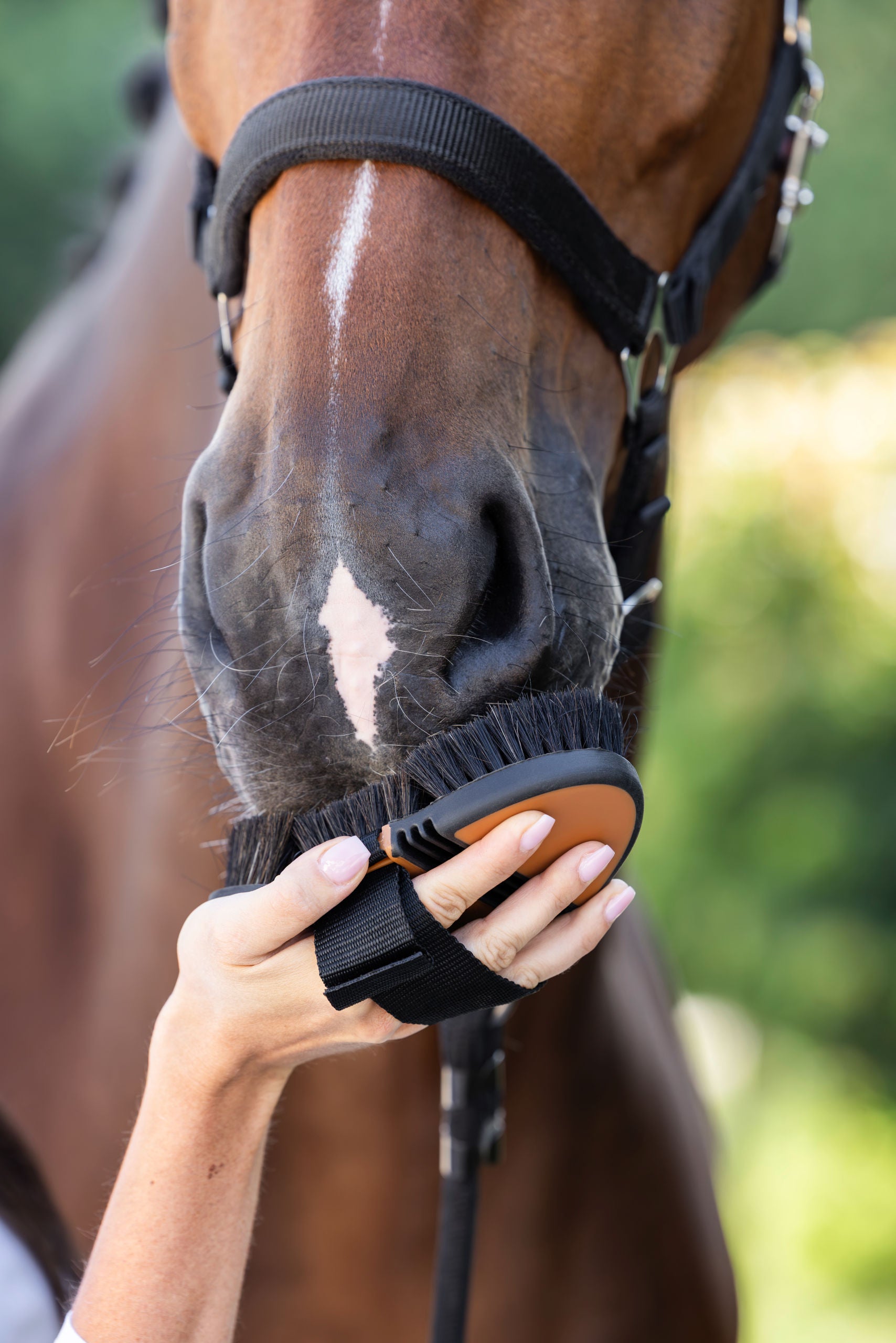 Covalliero Flek HorseHair 2K
