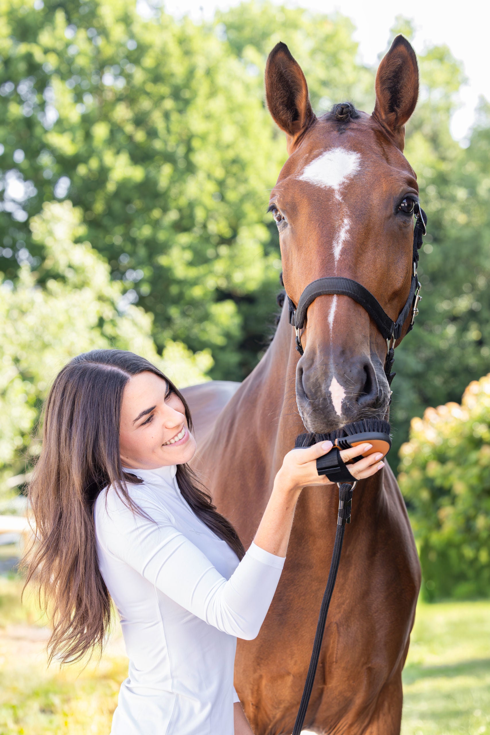 Covalliero Flek HorseHair 2K