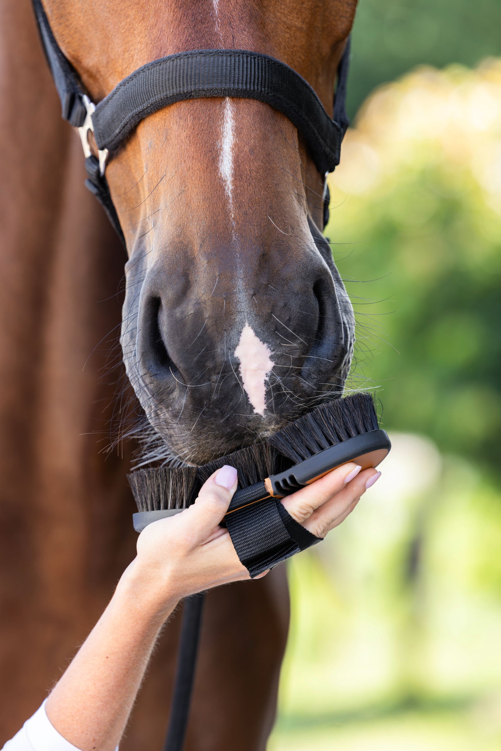 Covalliero Flek HorseHair 2K