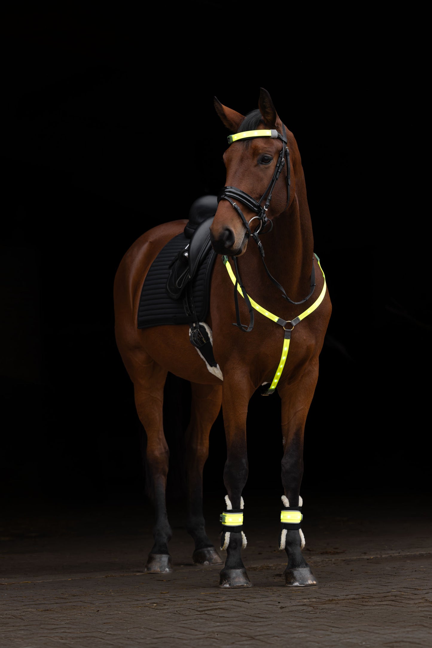 Naprsnik LED