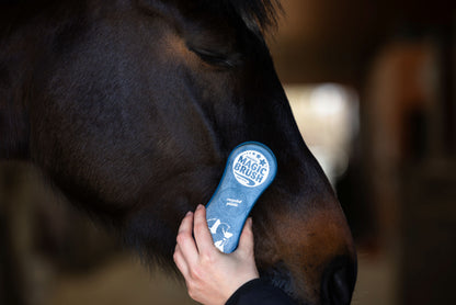 Komplet Magic Brush CornFlower