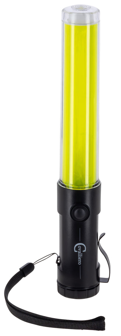 LED trak
