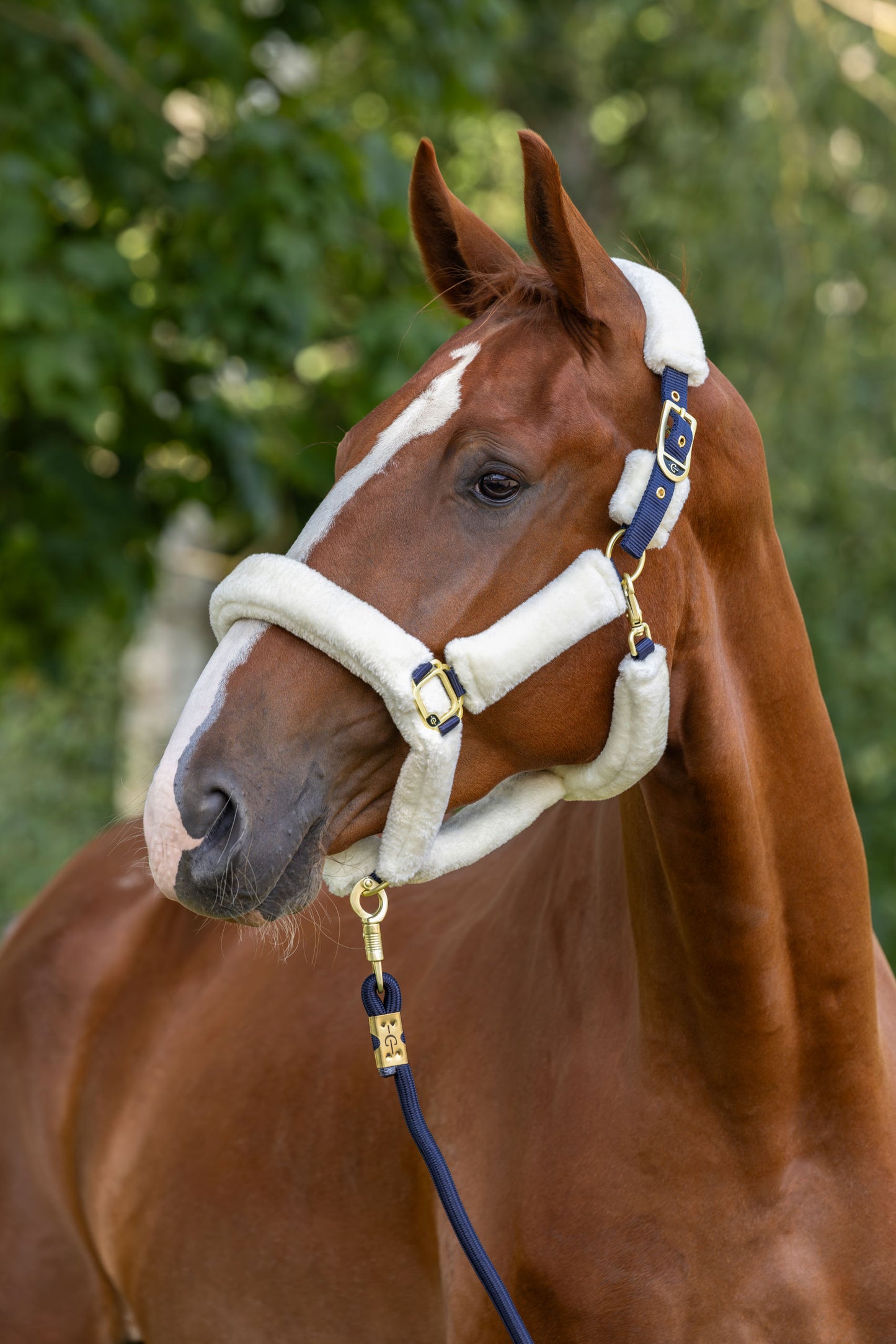 Komat SuperSoft 2.0 navy, Pony