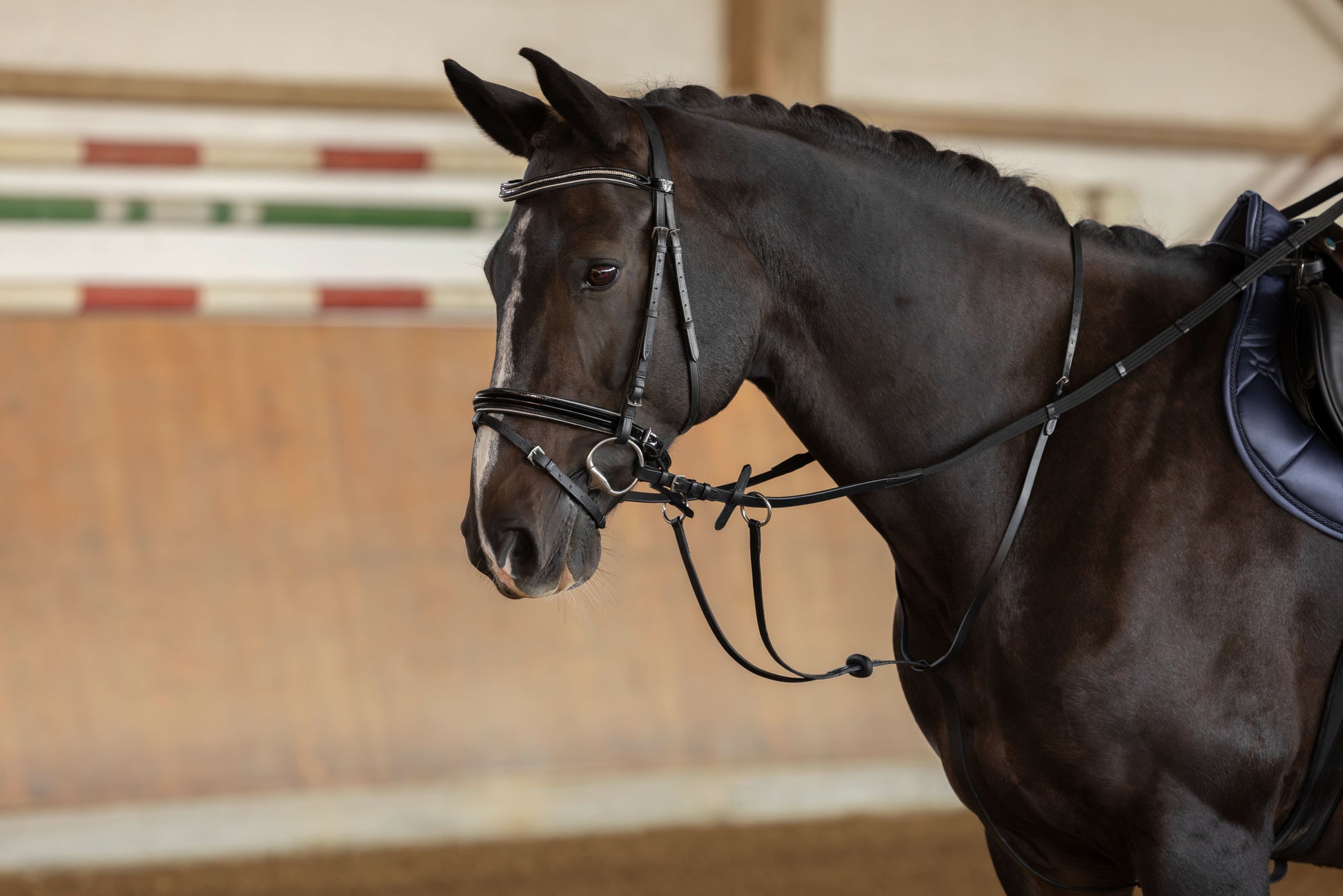 Usnjeni martingal, črne barve Pony