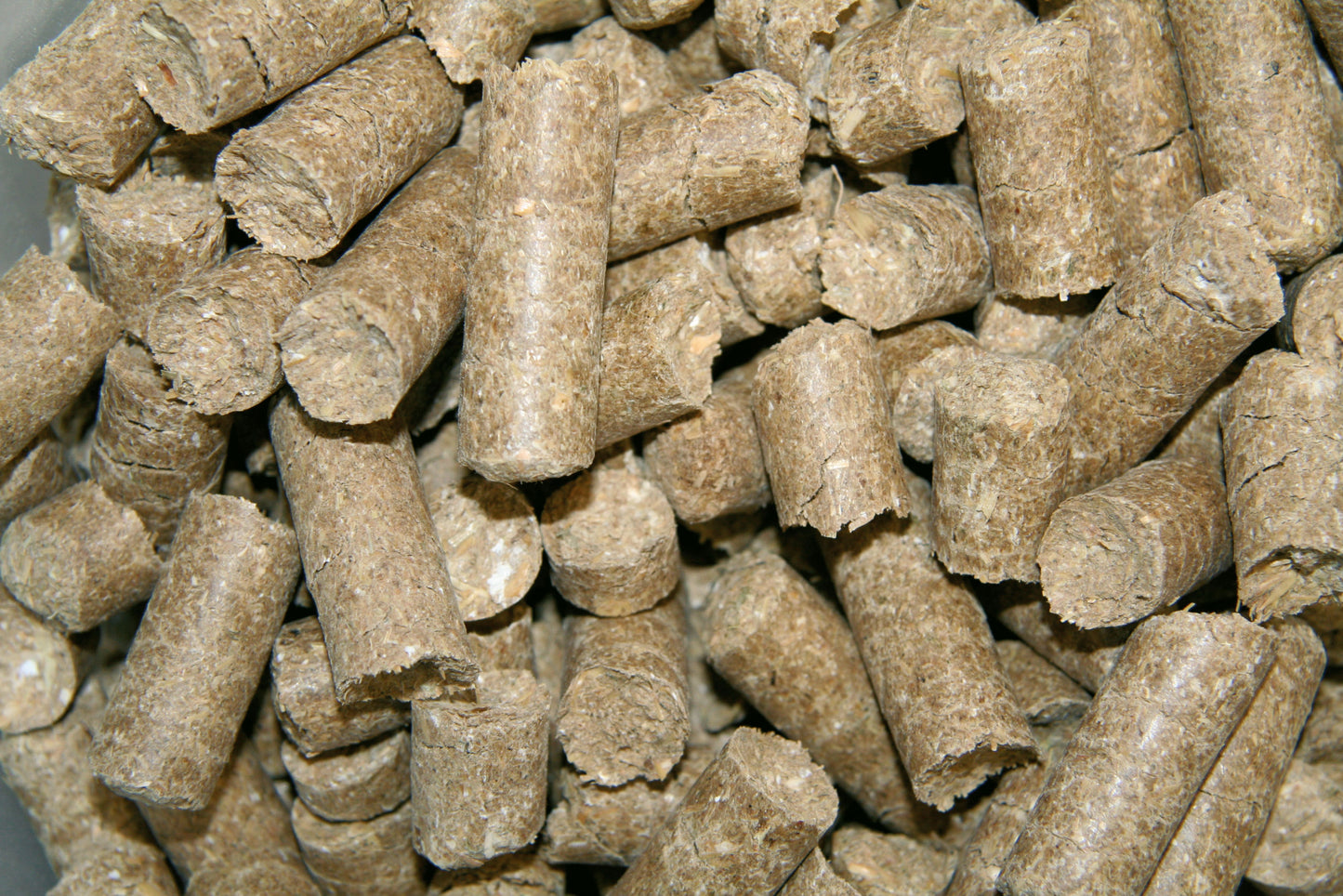 PIŠKOTKI za konje Delizia malina 1kg