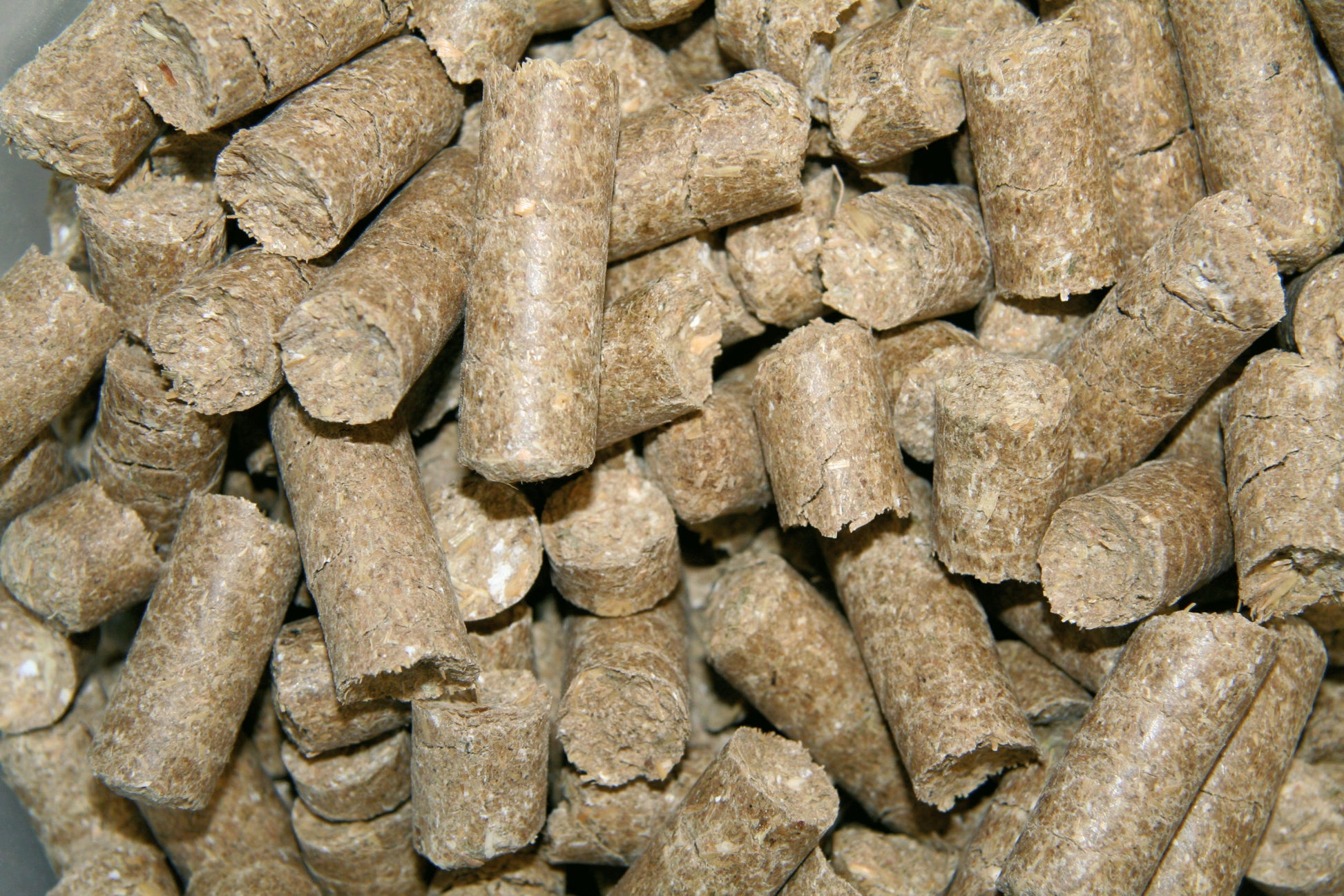 PIŠKOTKI za konje Delizia malina 1kg