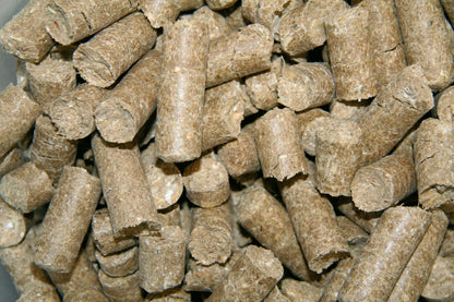 PIŠKOTKI za konje Delizia malina 1kg