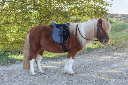 SEDLO Pony Economy - 15,0" crn (komplet)