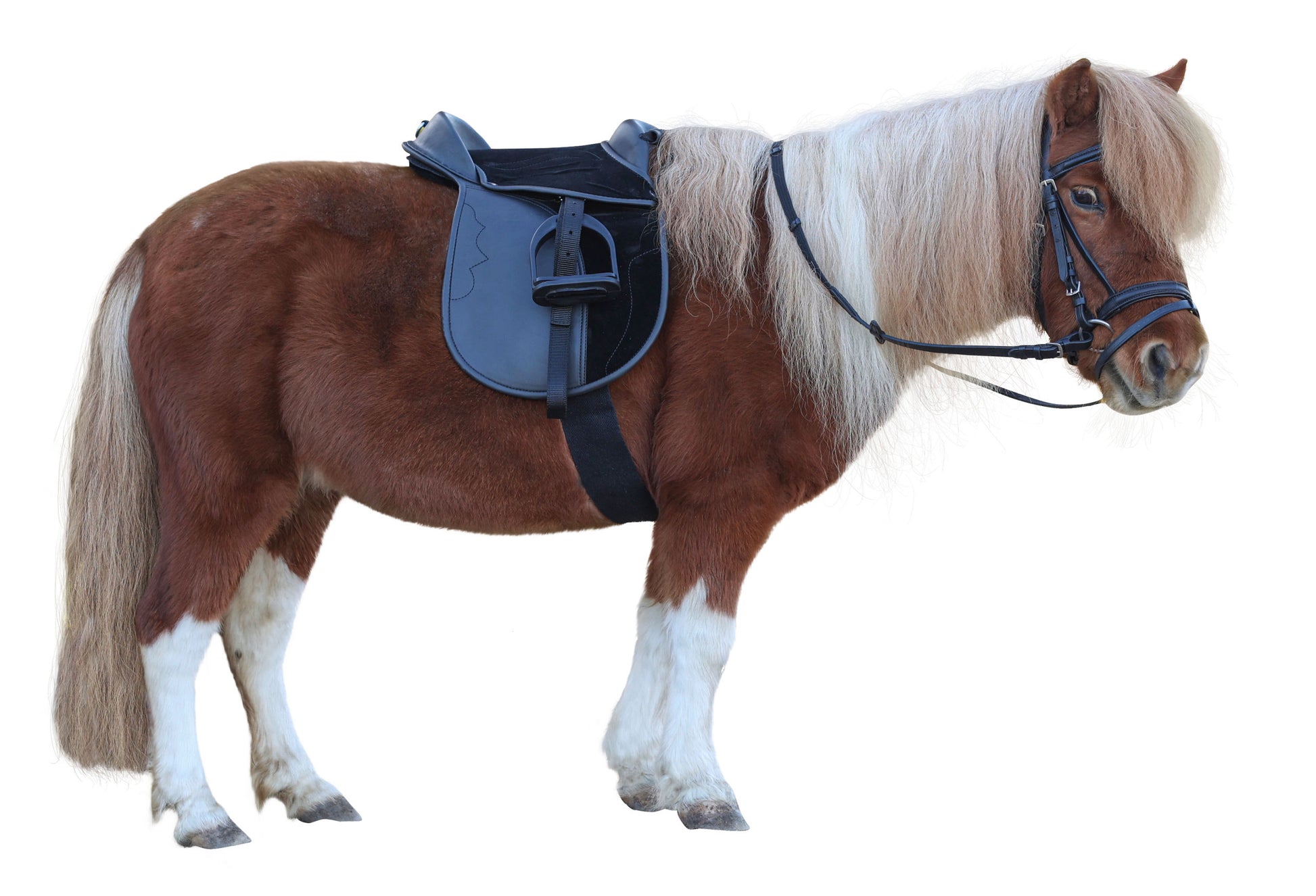 SEDLO Pony Economy - 15,0" crn (komplet)