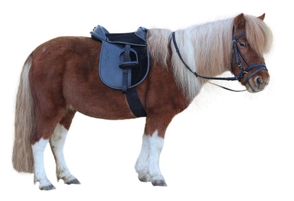 SEDLO Pony Economy - 15,0" crn (komplet)