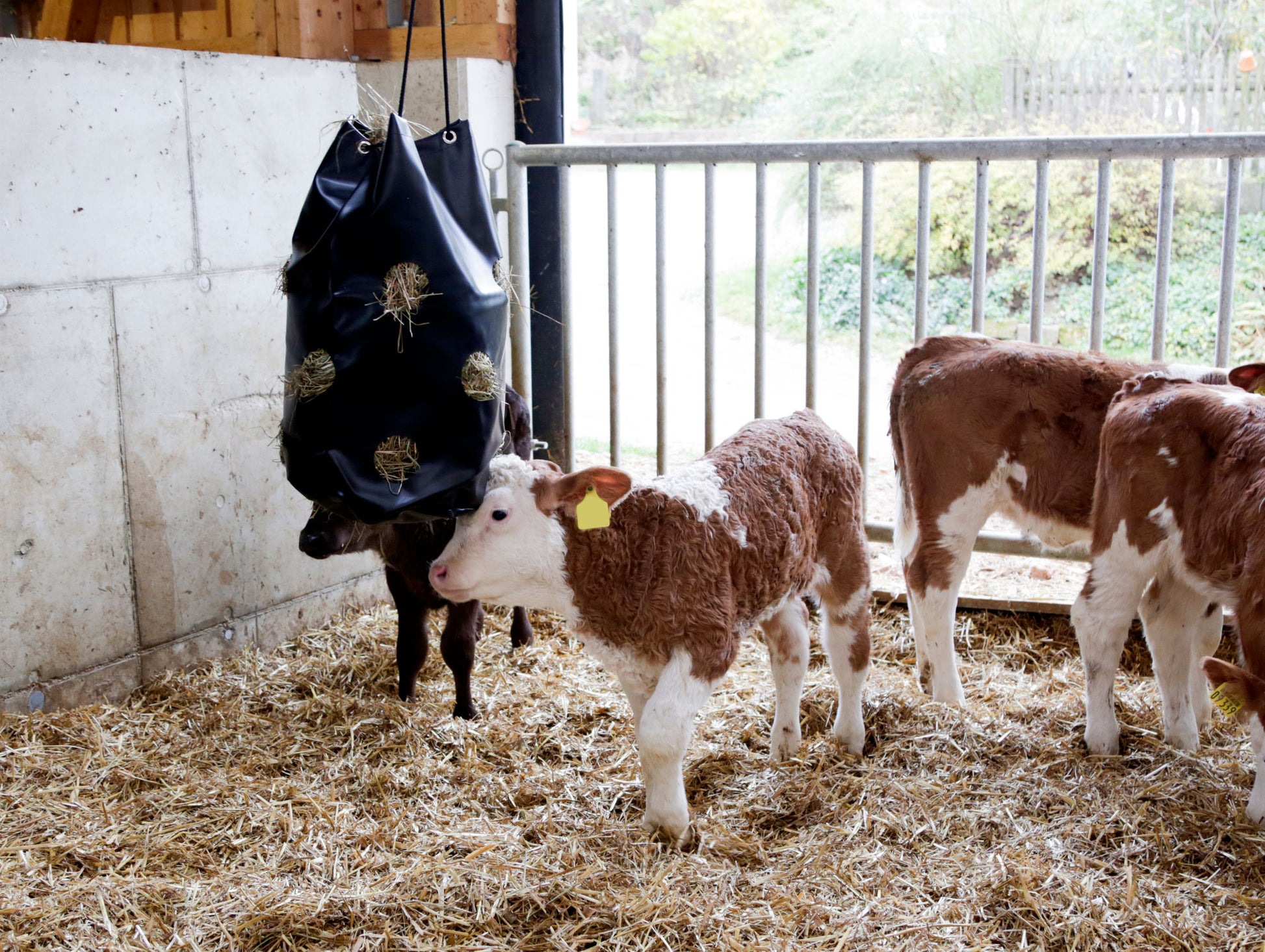 VRECA za krmljenje HayBag velika - 195l, 16kg