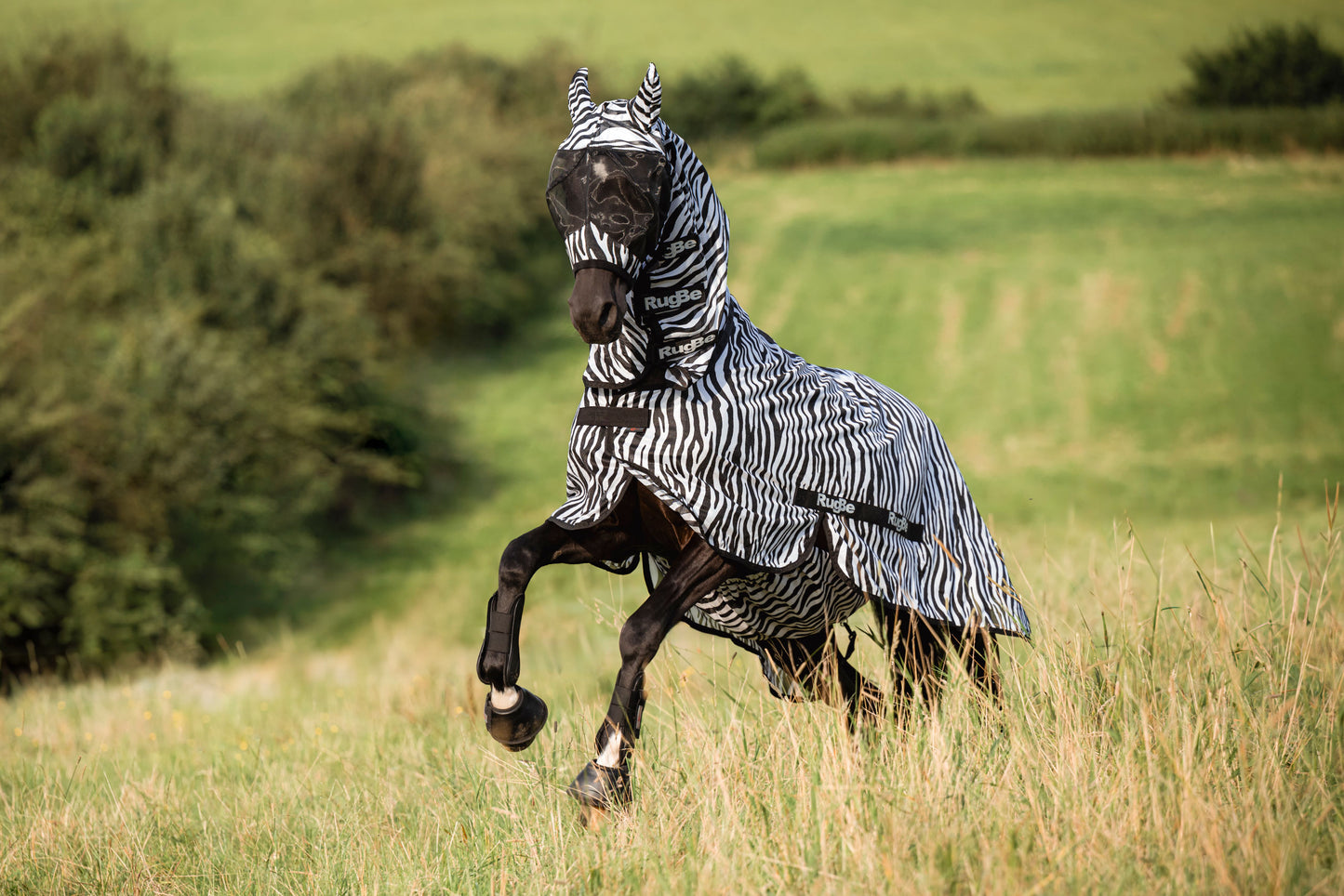 Leteca preproga zebra, vkljucno z vratnim delom, 125