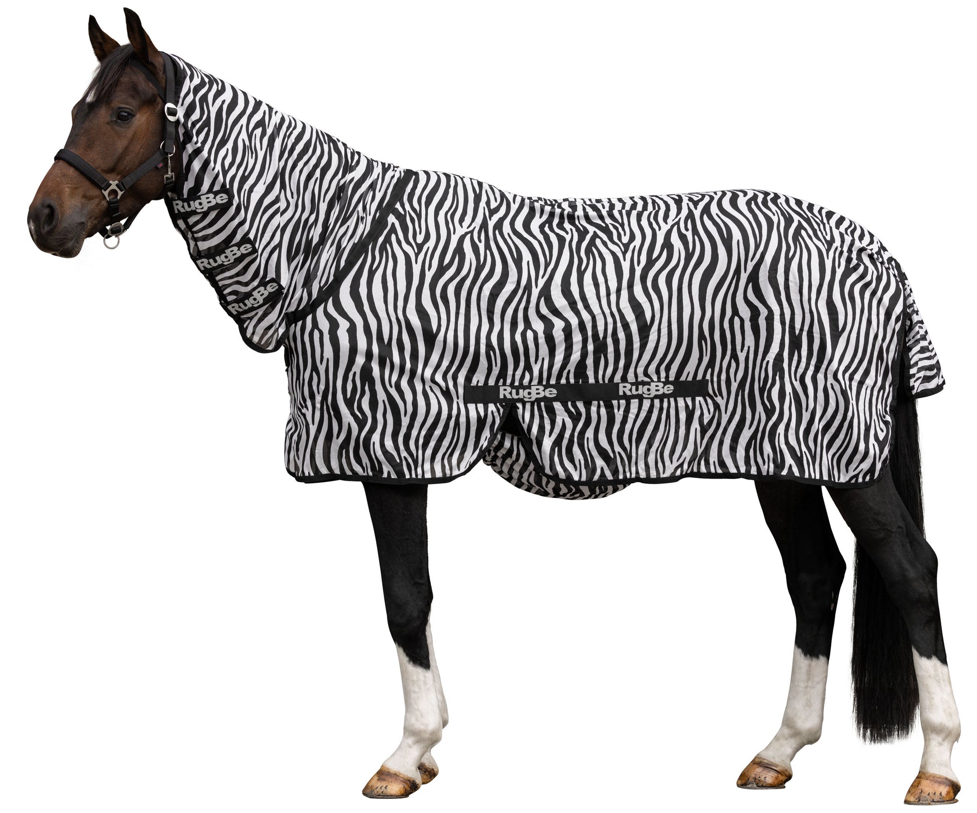 Leteca preproga zebra, vkljucno z vratnim delom, 125