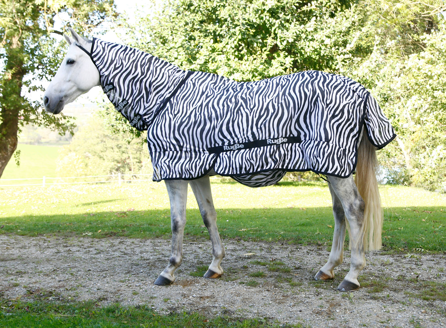 Leteca preproga zebra, vkljucno z vratnim delom, 135