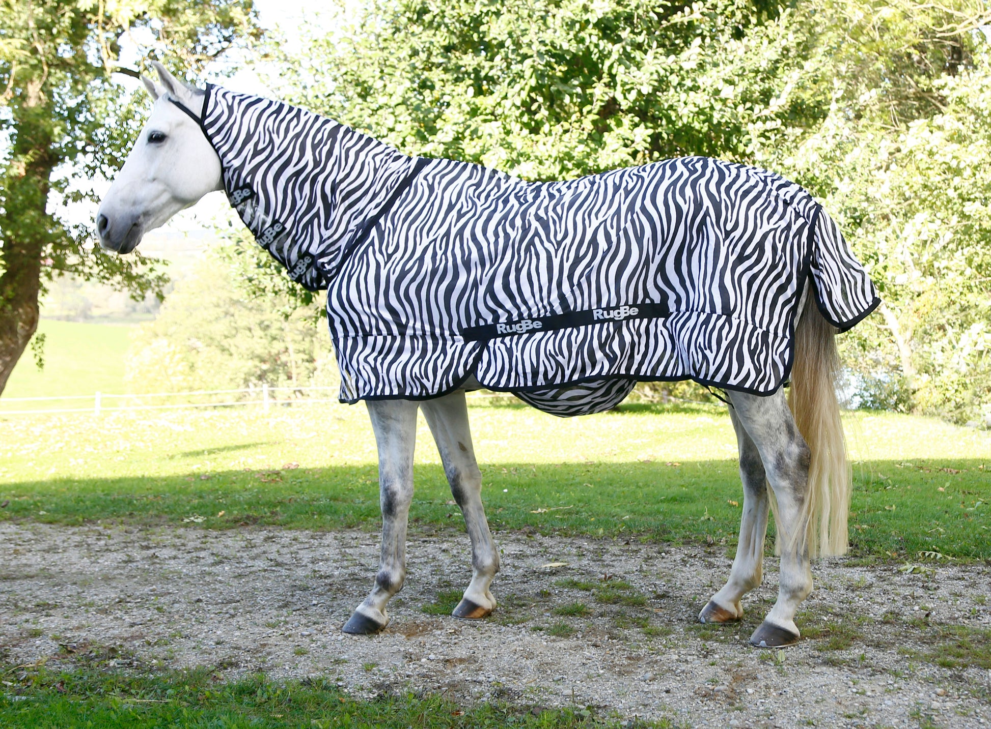 Leteca preproga zebra, vkljucno z vratnim delom, 135