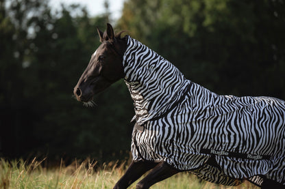 Leteca preproga zebra, vkljucno z vratnim delom, 145