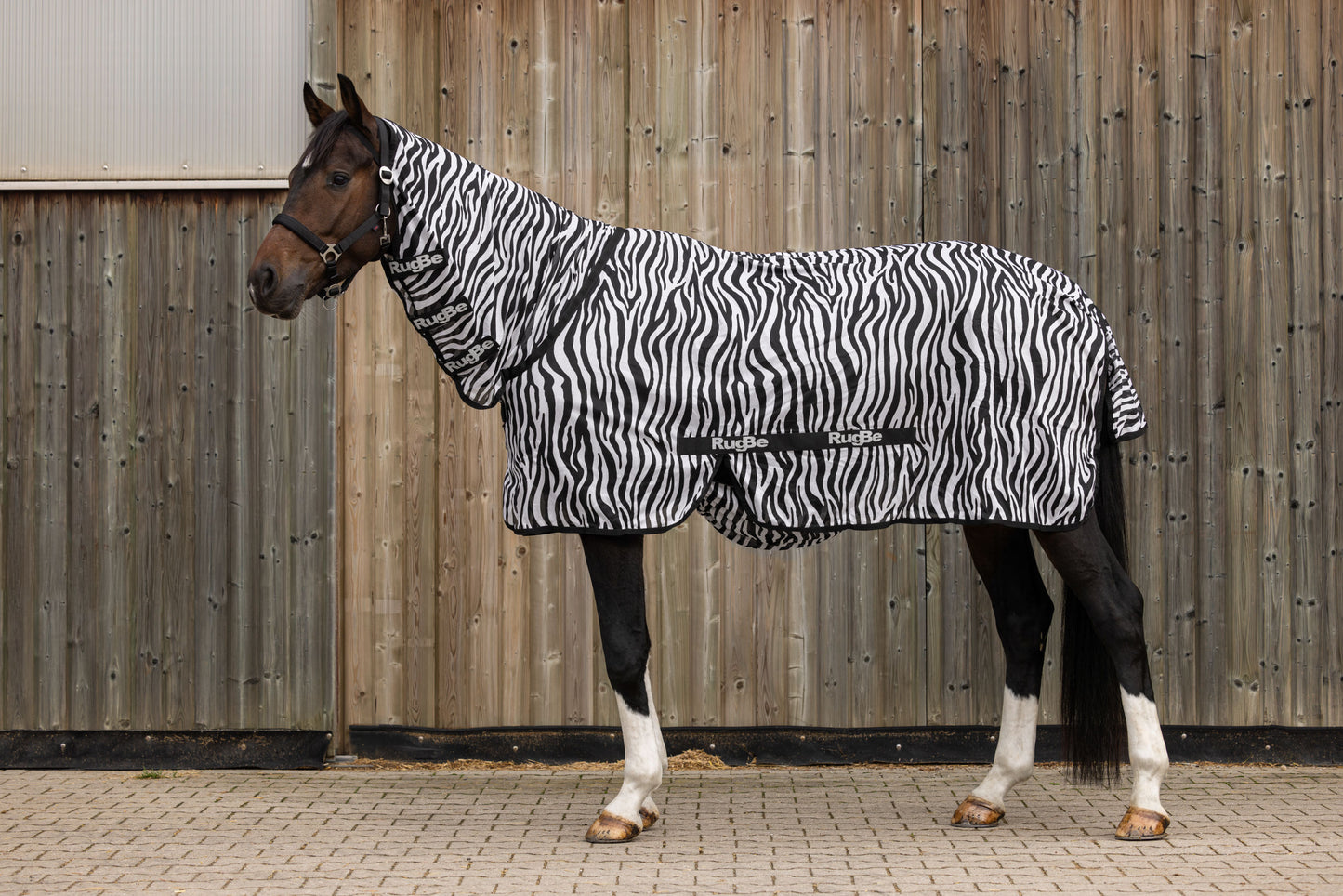 Leteca preproga zebra, vkljucno z vratnim delom, 155