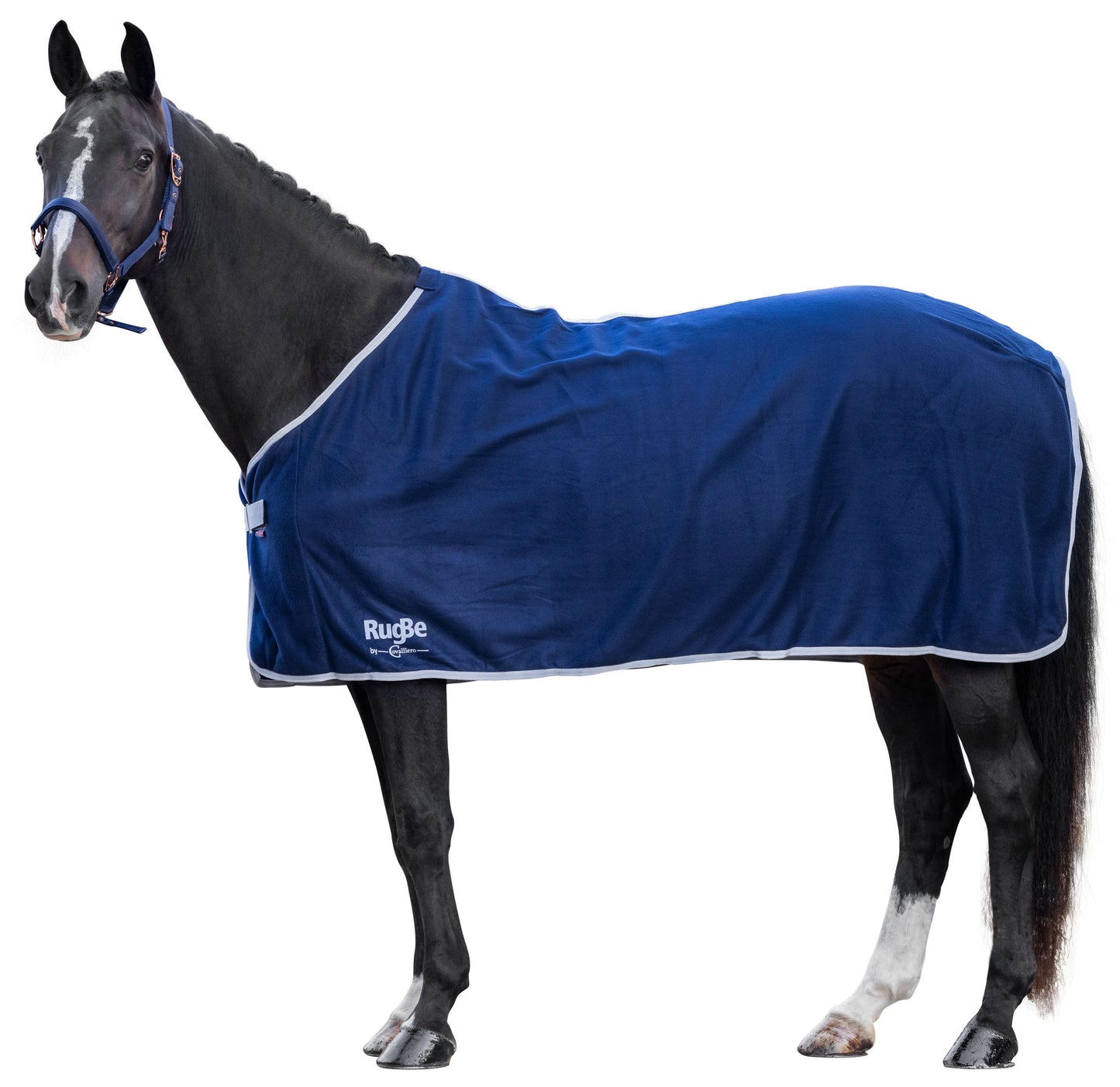 Odeja iz flisa RugBe Economic navy, 125 cm