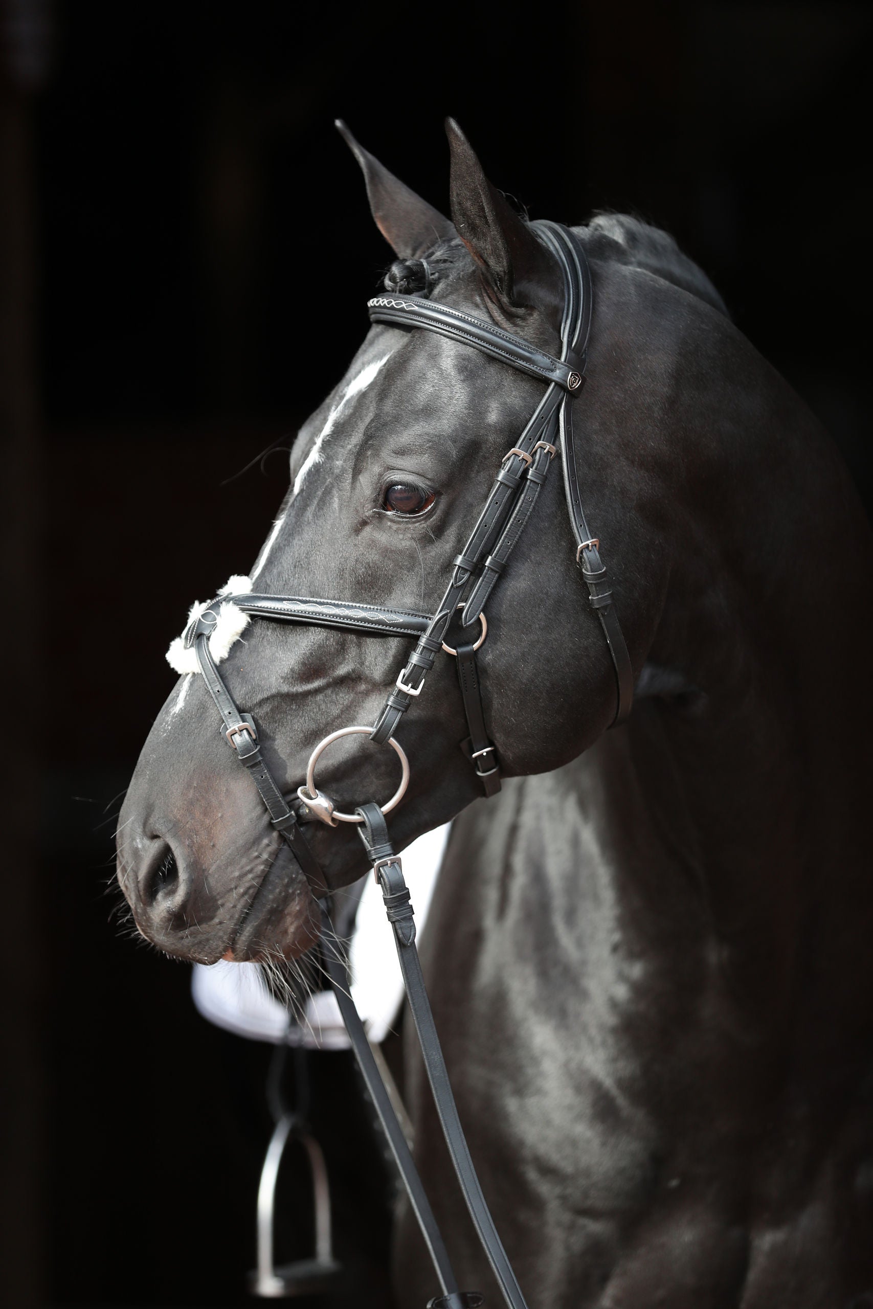 Snaffle uzda Cancun crna, pony