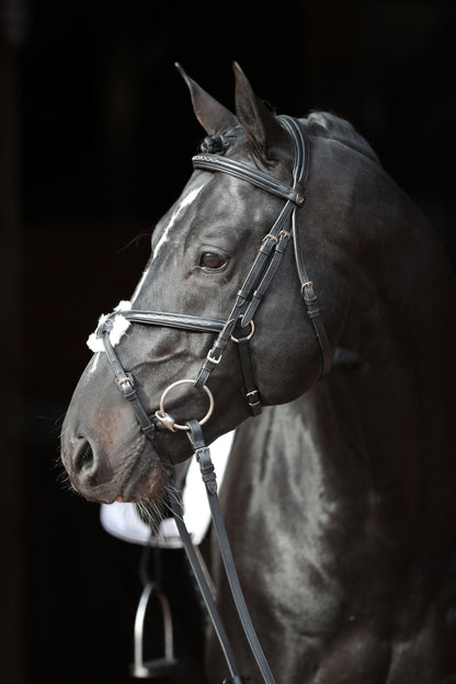 Snaffle uzda Cancun crna, pony