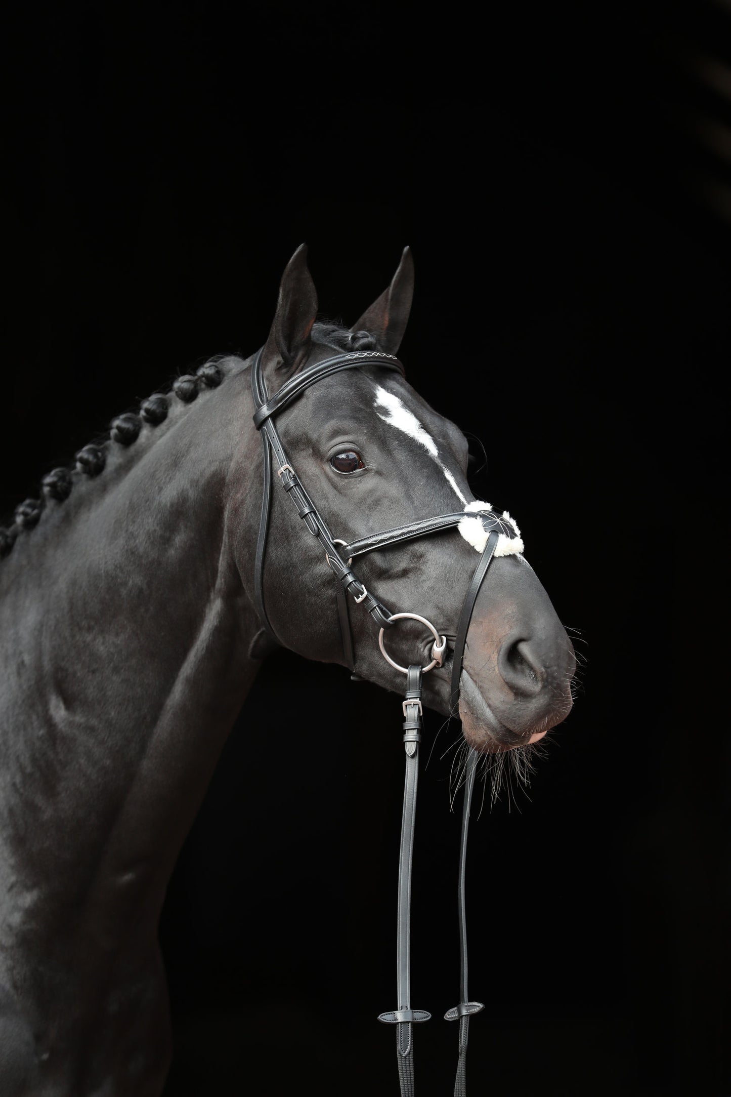 Snaffle uzda Cancun crna, pony