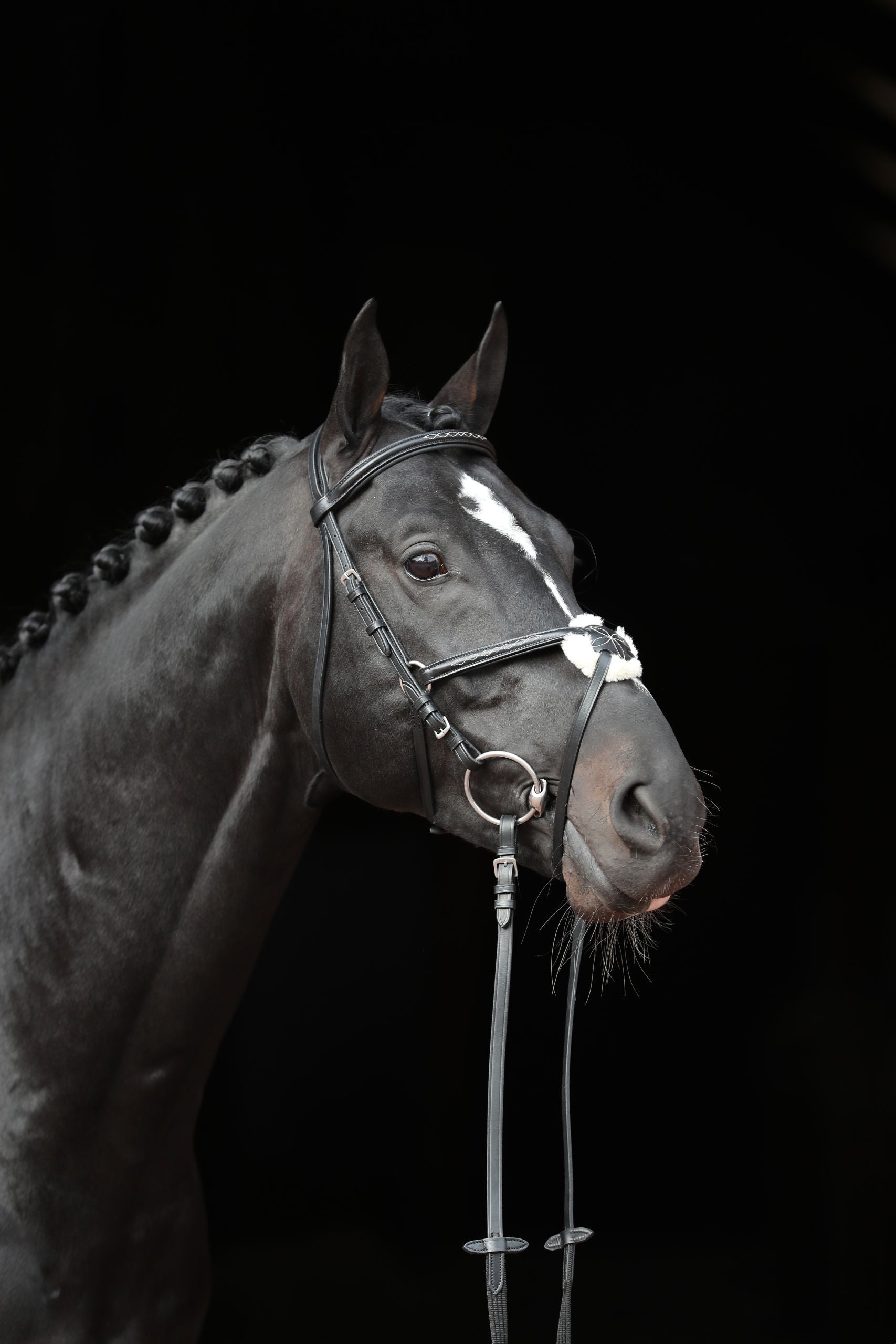 Snaffle uzda Cancun crna, pony