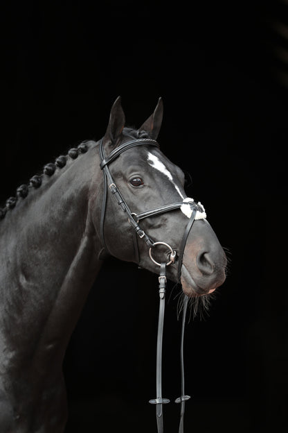 Snaffle uzda Cancun crna, pony