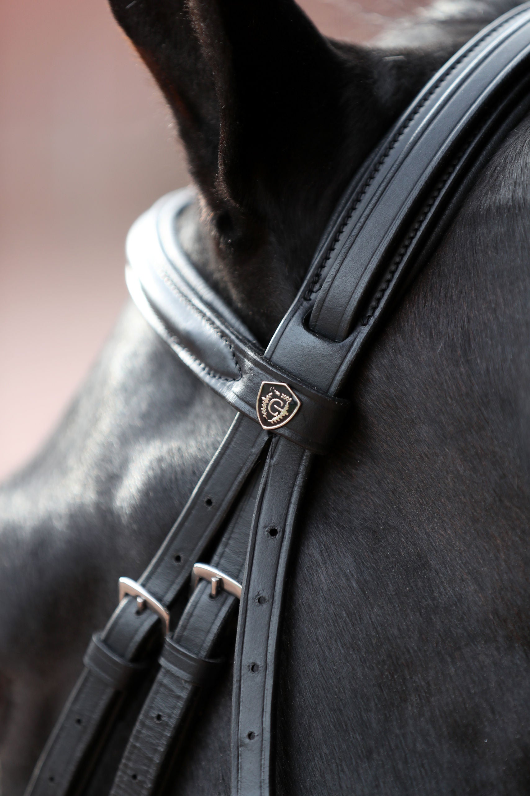 Snaffle uzda Cancun crna, pony
