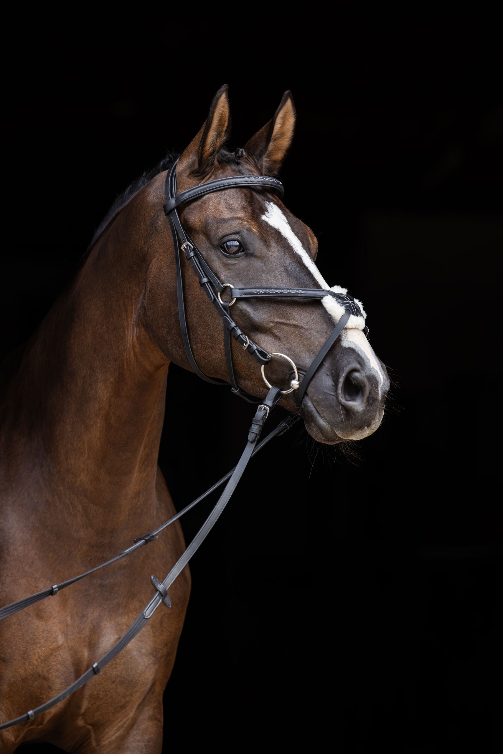 Snaffle uzda Cancun crna, Cob