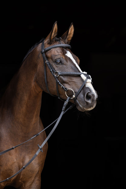 Snaffle uzda Cancun crna, Cob