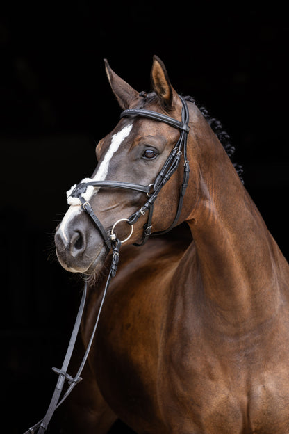 Snaffle uzda Cancun crna, polna