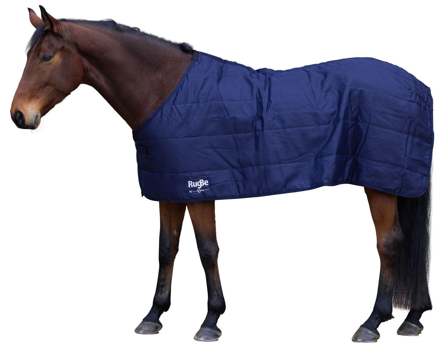 Pododeja/hlev. od. RugBe 2v1, 165 cm, navy