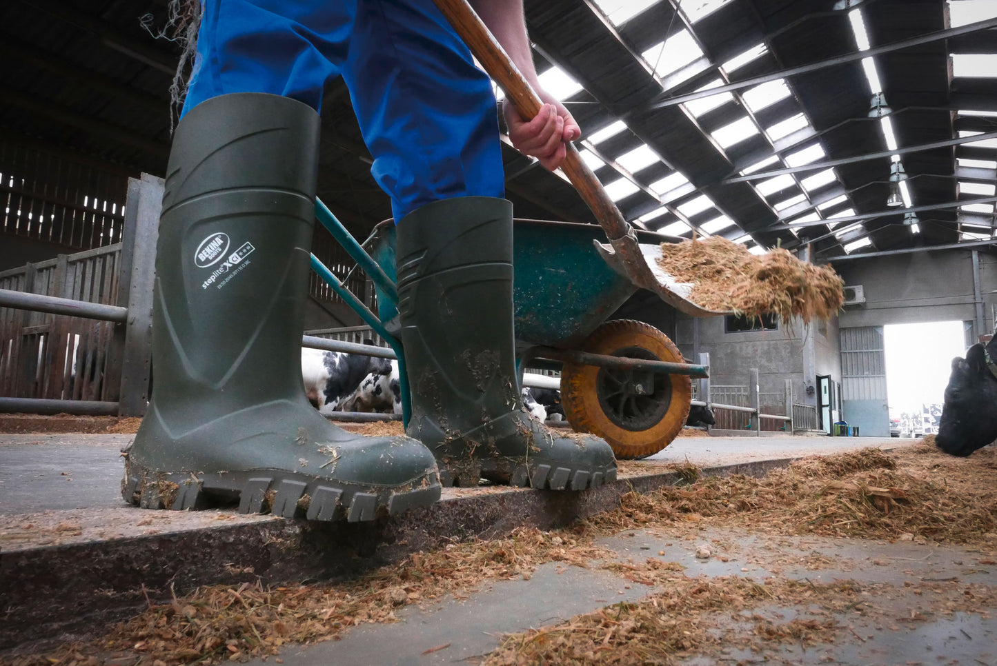 ŠKORNJI zašcitni XCI Winter 44