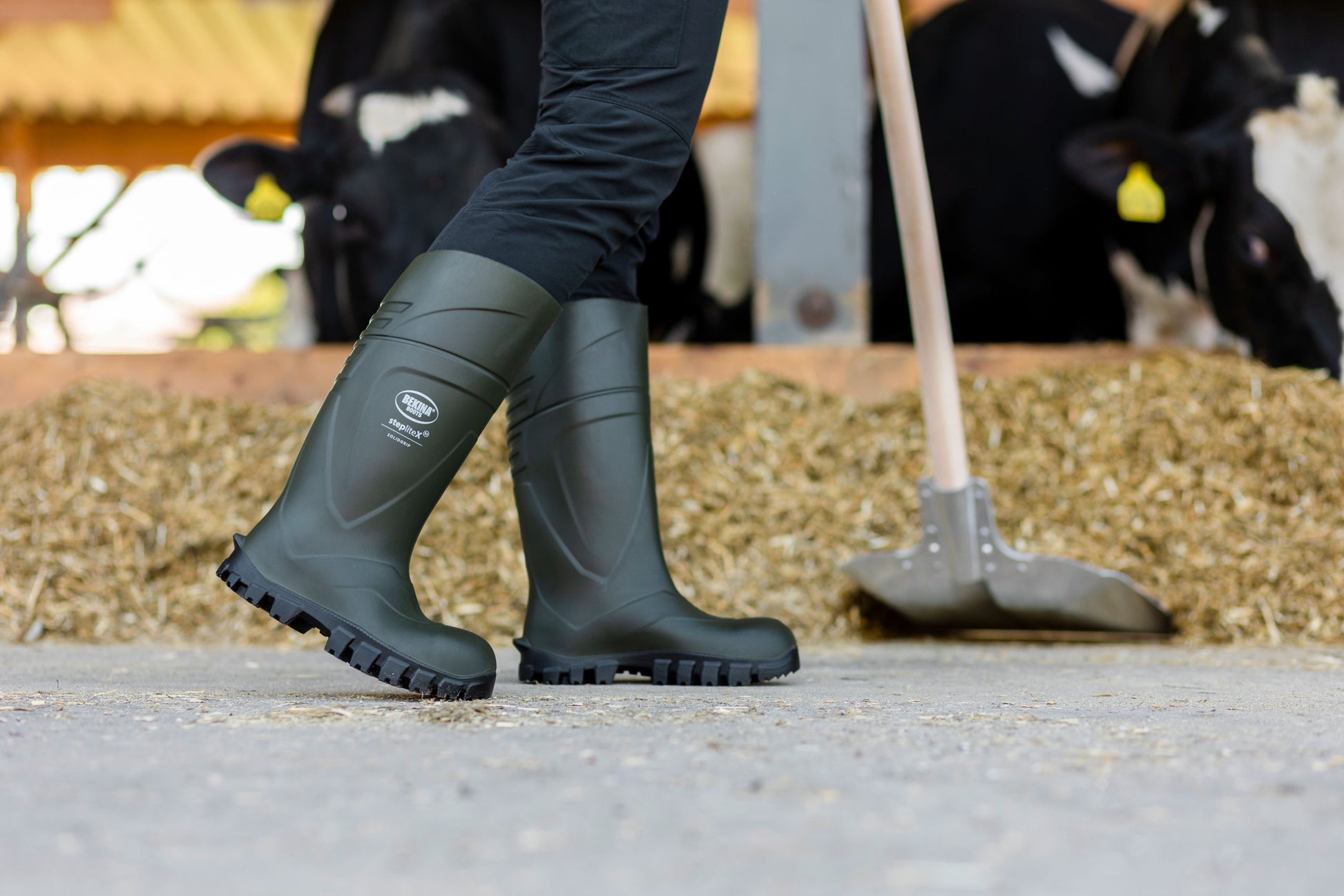 ŠKORNJI zašcitni StepliteX 38