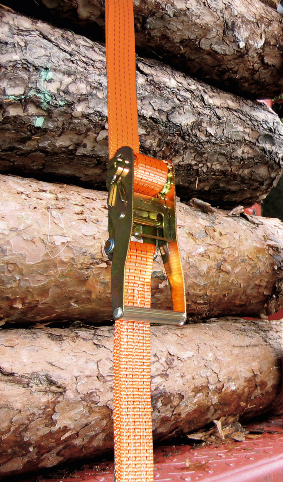 Pritrdilni trak z ragljo, 2-de 2000/4000 kg, kavelj, oranžen