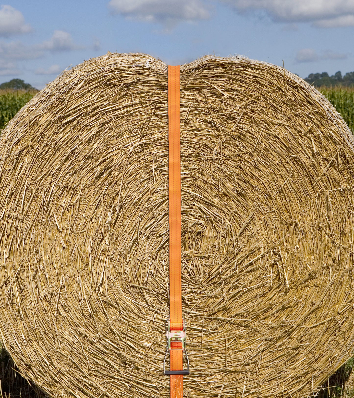 Pritrdilni trak z ragljo, 2-de 2000/4000 kg, oranžna