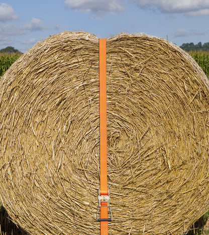 Pritrdilni trak z ragljo, 2-de 2000/4000 kg, oranžna