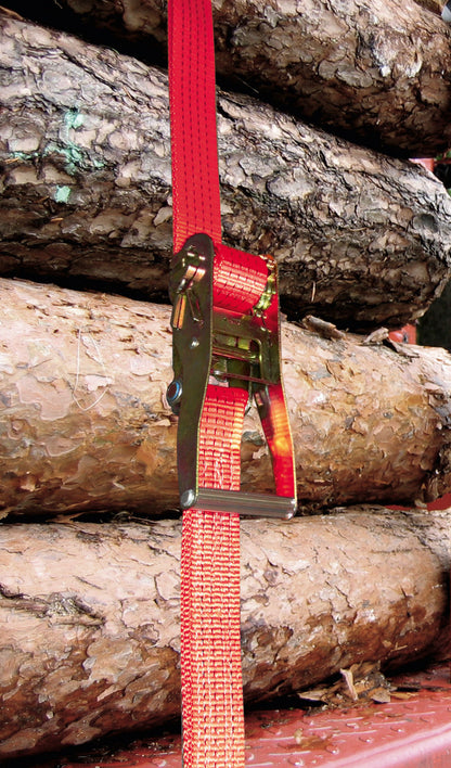 Pritrdilni trak z ragljo, 2-de 2500/5000 kg, kavelj z očesom,