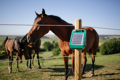 SunPOWER S250 Pašni aparat z akumula. AGM