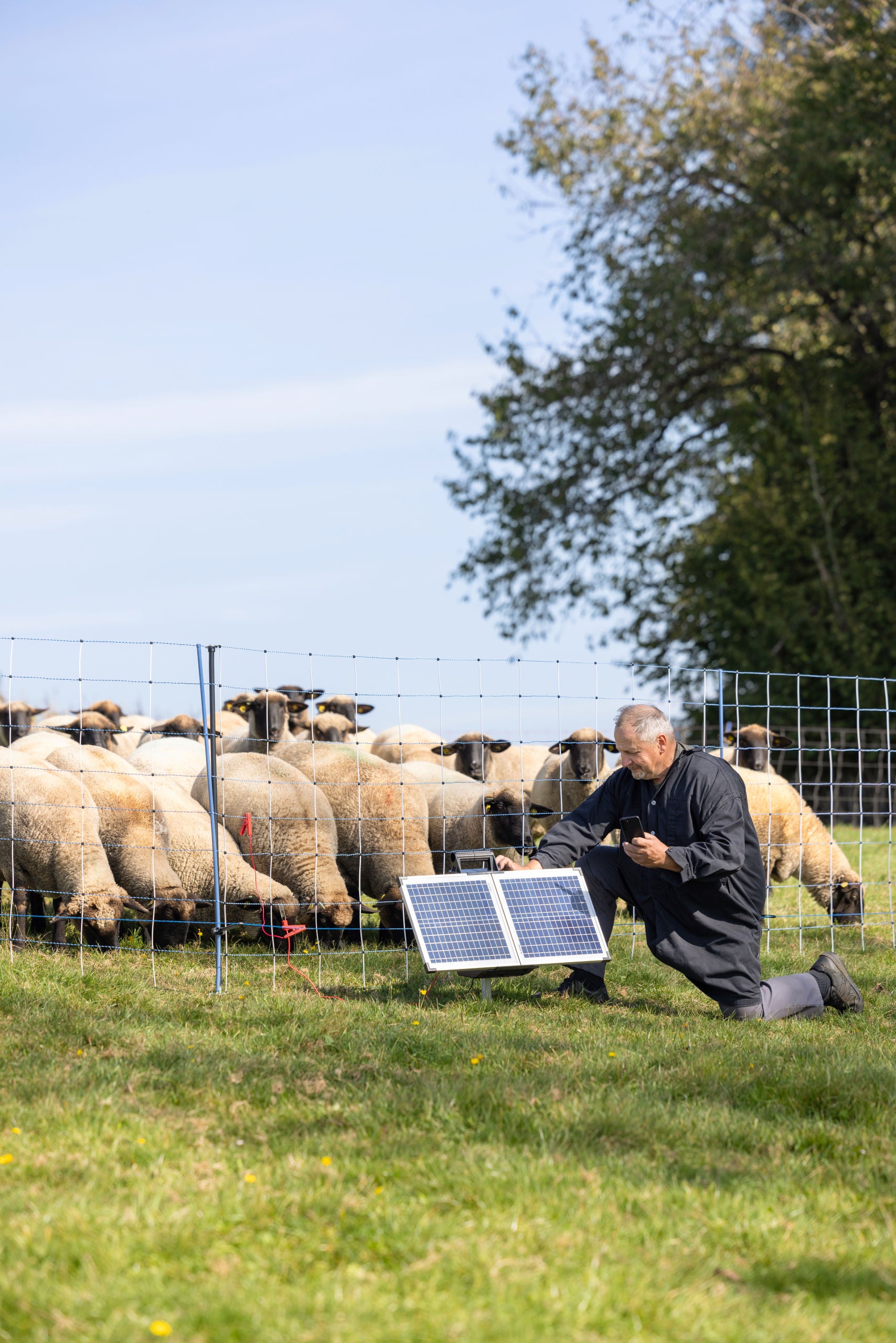 AKO SunPower S2400 Smart 12V pašni aparat