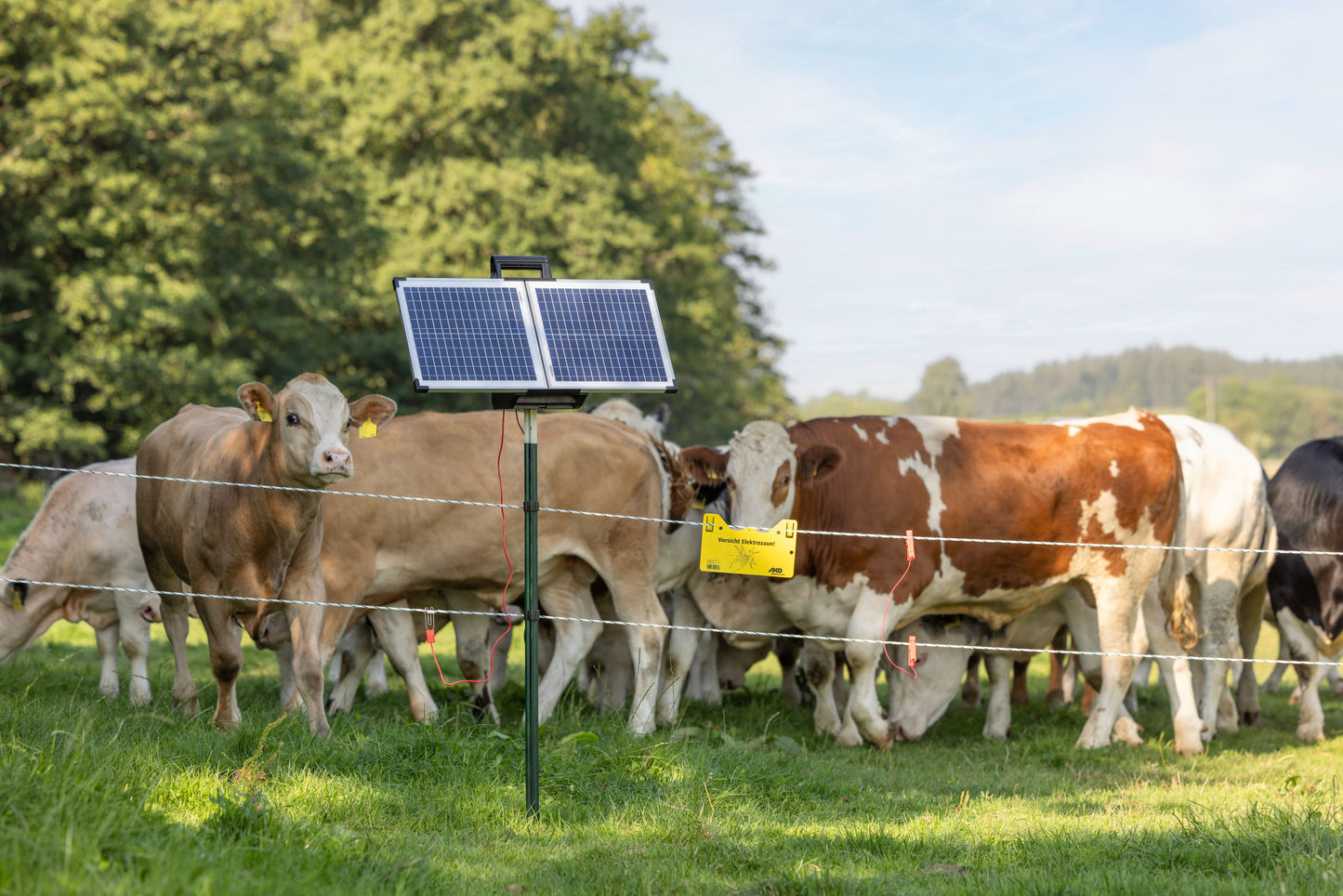 AKO SunPower S2400 Smart 12V pašni aparat