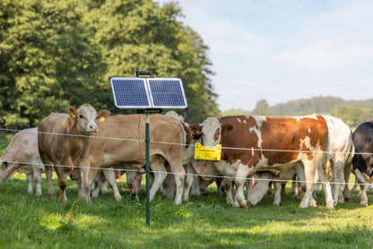 AKO SunPower S2400 Smart 12V pašni aparat
